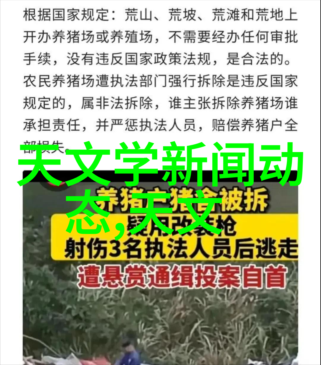 冷静选择专业制冷设备销售解析