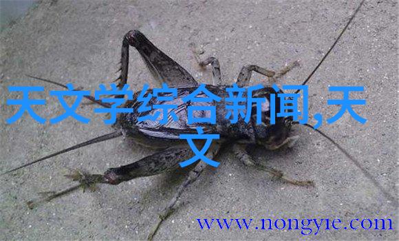 贮存设备的维护与保养延长使用寿命的重要措施