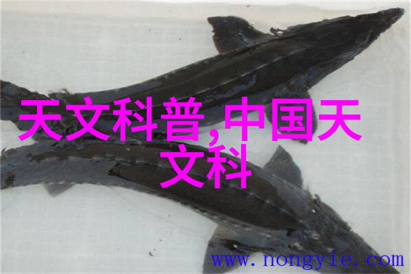 机油的回声一场废旧变革的序幕
