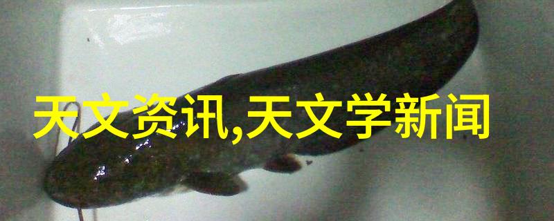 芯片的微妙世界揭秘电子小精灵的真面目
