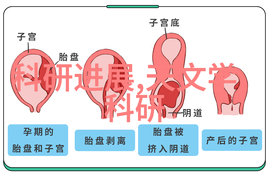 专业机构如何进行深度分析和综合评估