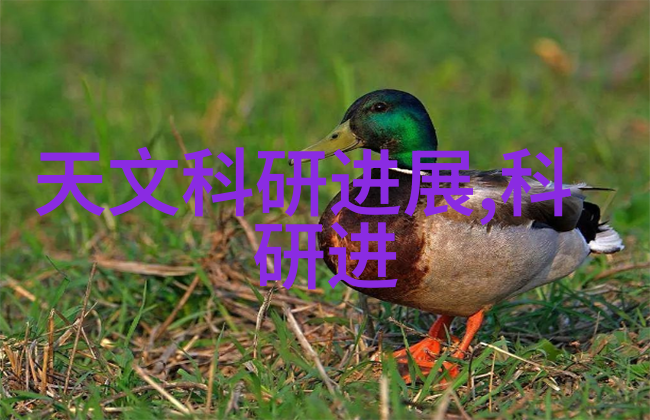医用消毒灭菌的标准和规定是如何制定的