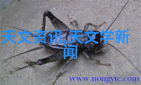 评估单位的秘密武器解析测评的奥义