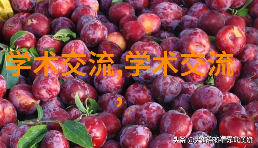 机密守护者未知领域的密封件设备探秘
