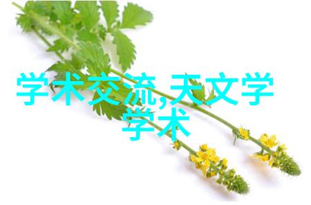 圣罗兰包时尚界的经典守护者