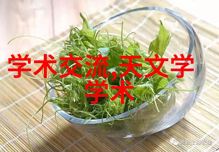 电阻的秘密绝缘电阻表之谜