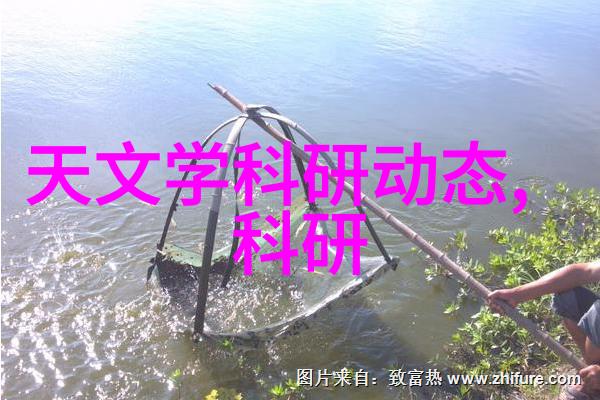 最新房子装修效果图家居美学的完美体现