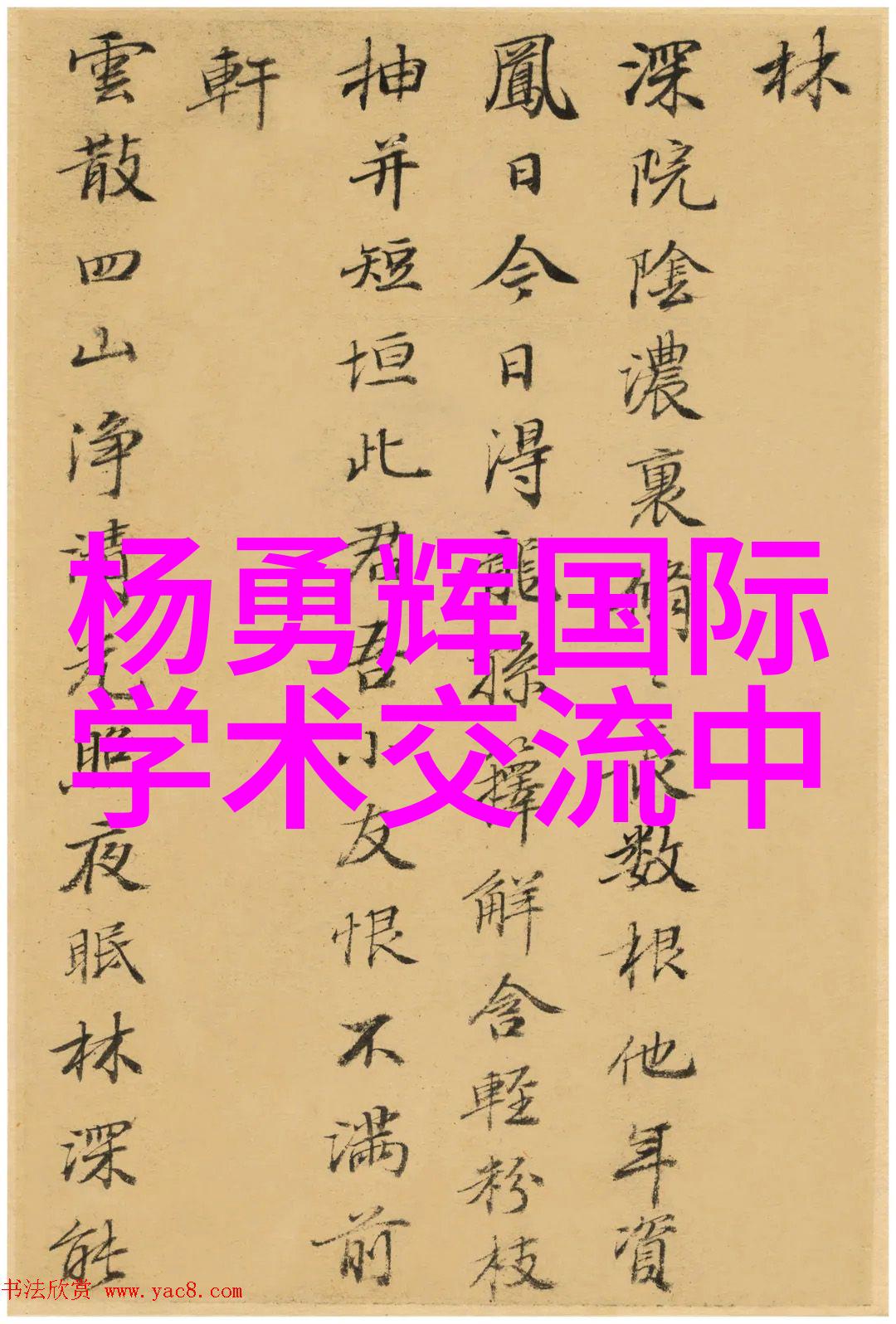都市烟火的温暖txt下载揭秘城市生活中的小确幸