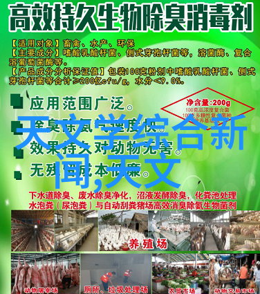 合同中的方案确保项目顺利进行的关键要素
