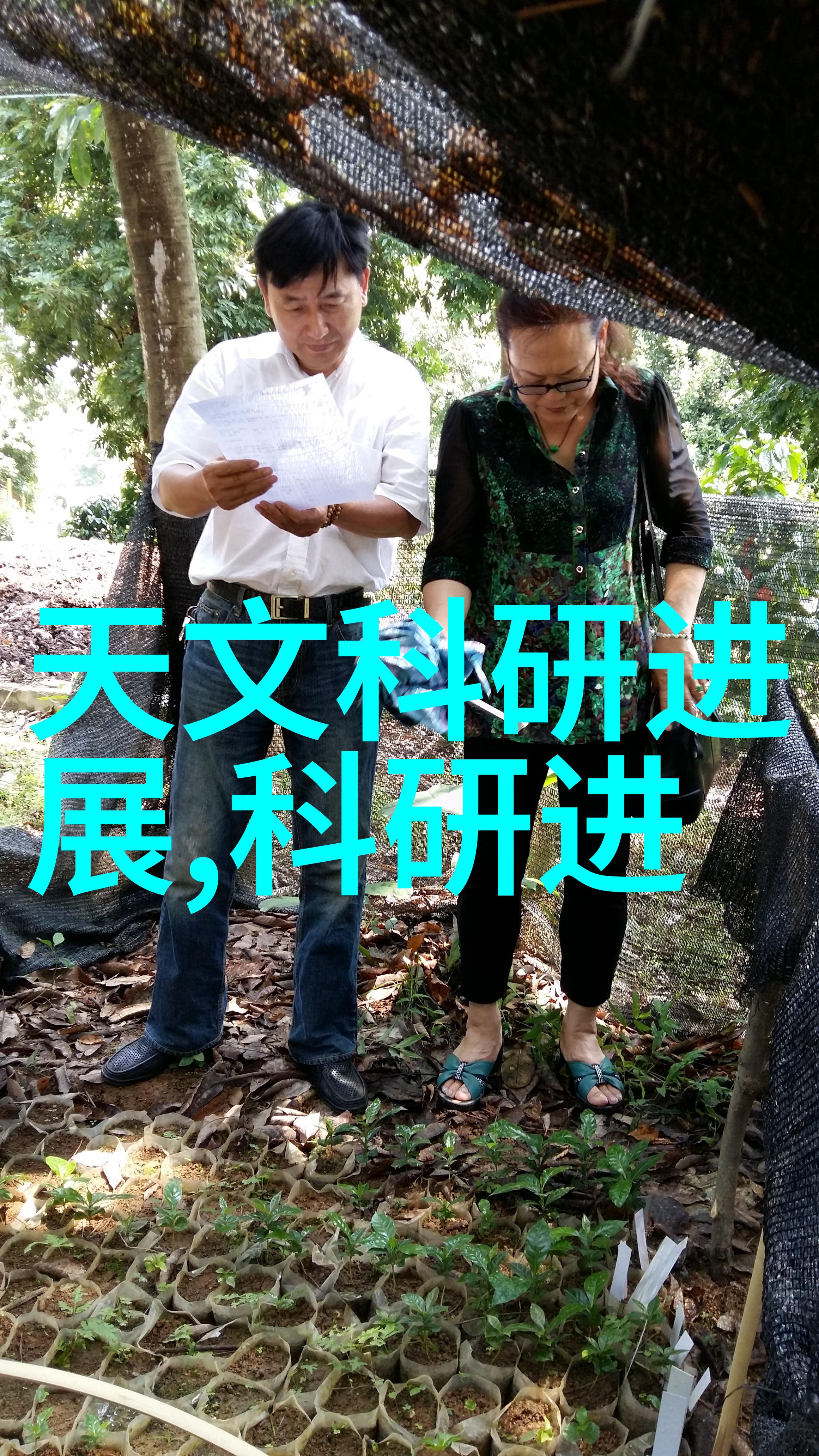 雾霭缭绕的净化之舞空气的清新交响曲
