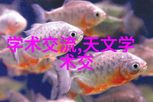 超级防水丙纶布新一代户外装备的不渗透英雄