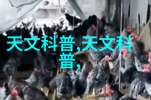 化工卫生阀-概述及其在化工生产中的重要性
