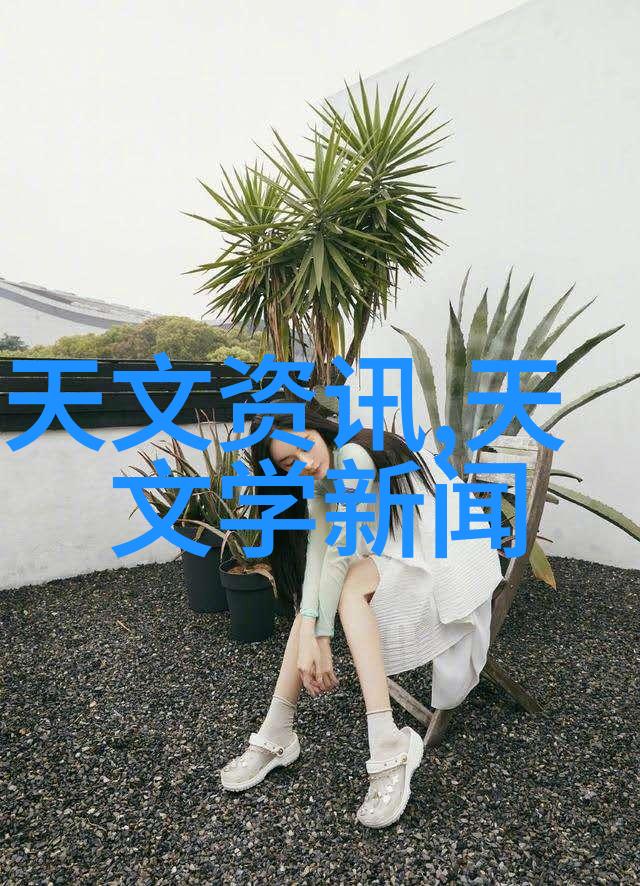 别墅轮换2攻略-从策划到实施完美度假体验的秘诀