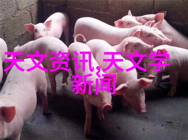时光少年我的青春不再是流年