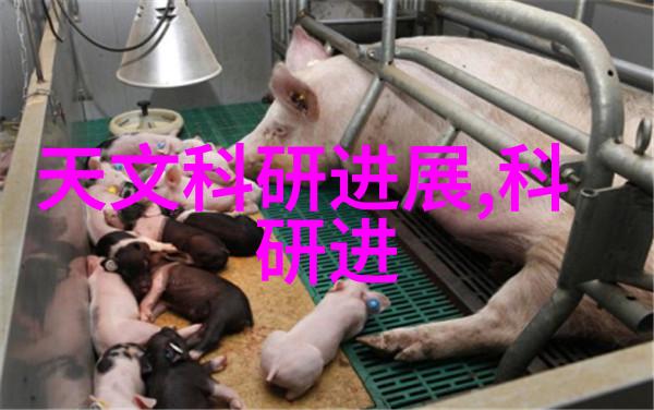 小厨房装修效果图我的美食梦想空间