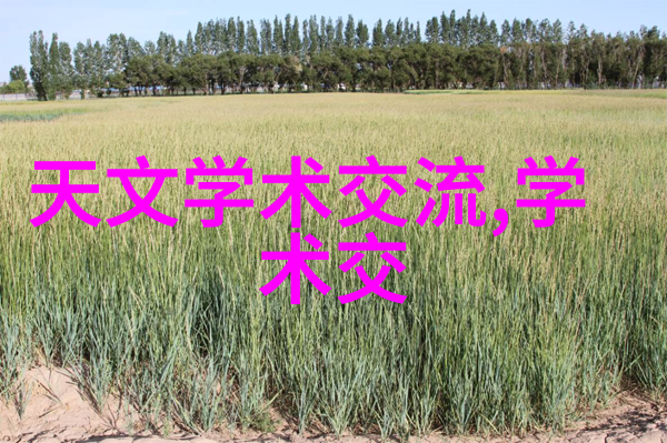 我的生活小工具筛选机帮我轻松过滤生活中的杂乱之物