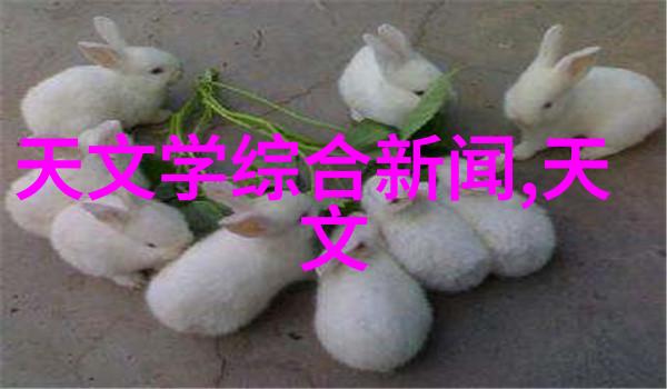 电子废旧物品的循环利用之道