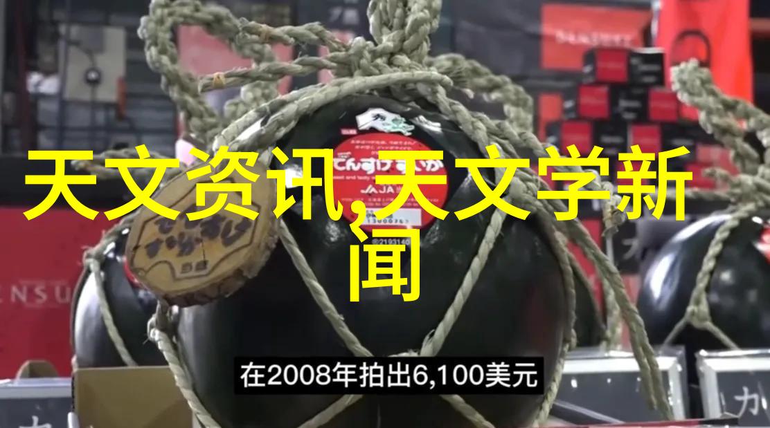 DN50金属环矩鞍填料应用指南HETP优化与选择
