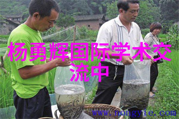 颗粒剂机械我是如何运用颗粒化技术提升药品生产效率的