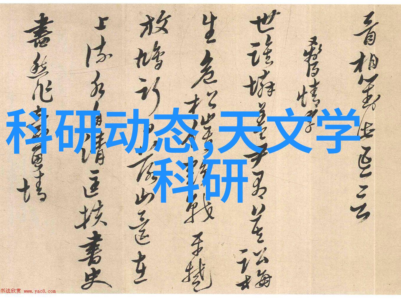 自定义橱柜 vs 商业标准型式哪种更适合我的需求