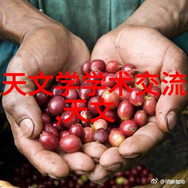 新兴技术在厂家的直接供应中对提升性能影响的探讨以无机催化剂为例能否提高转化率和减少成本