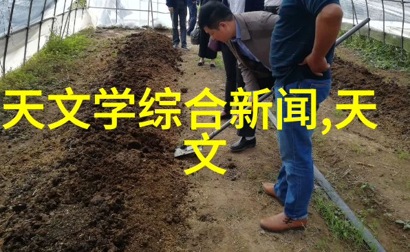 黑色资源的精准提炼煤炭分选机的运作奥秘