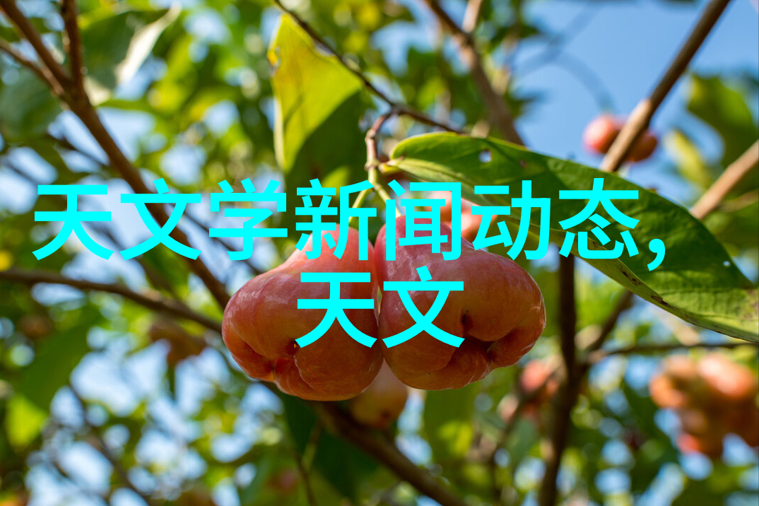 陈译辉财经分析深入剖析陈译辉在财经领域的见解与策略