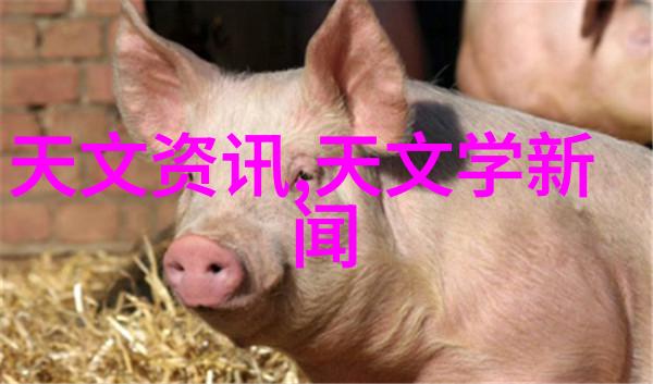 色彩交响空间织梦