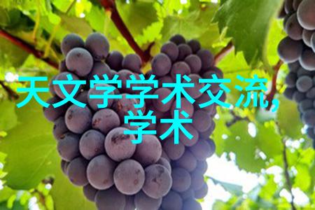 城市道路智慧监控系统保障交通安全与高效流通