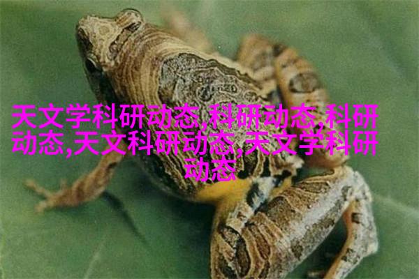 案例二