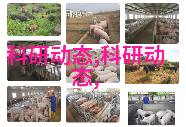 李飘飘仙气盈盈李飘飘的神秘魅力