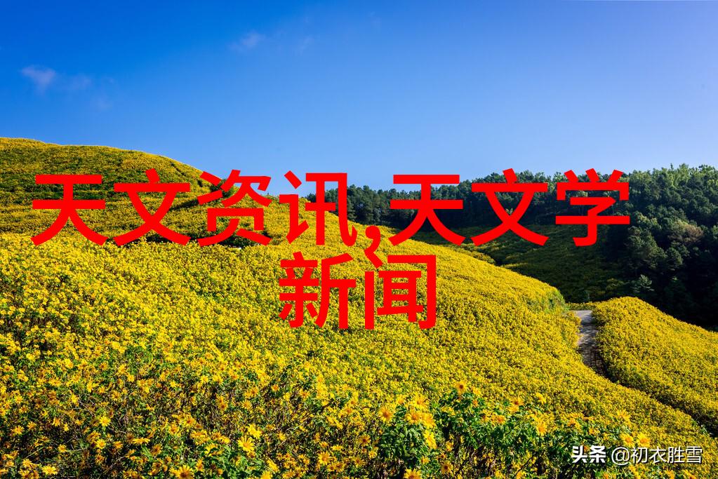 奢华配饰与破旧手机逆袭的配件购买