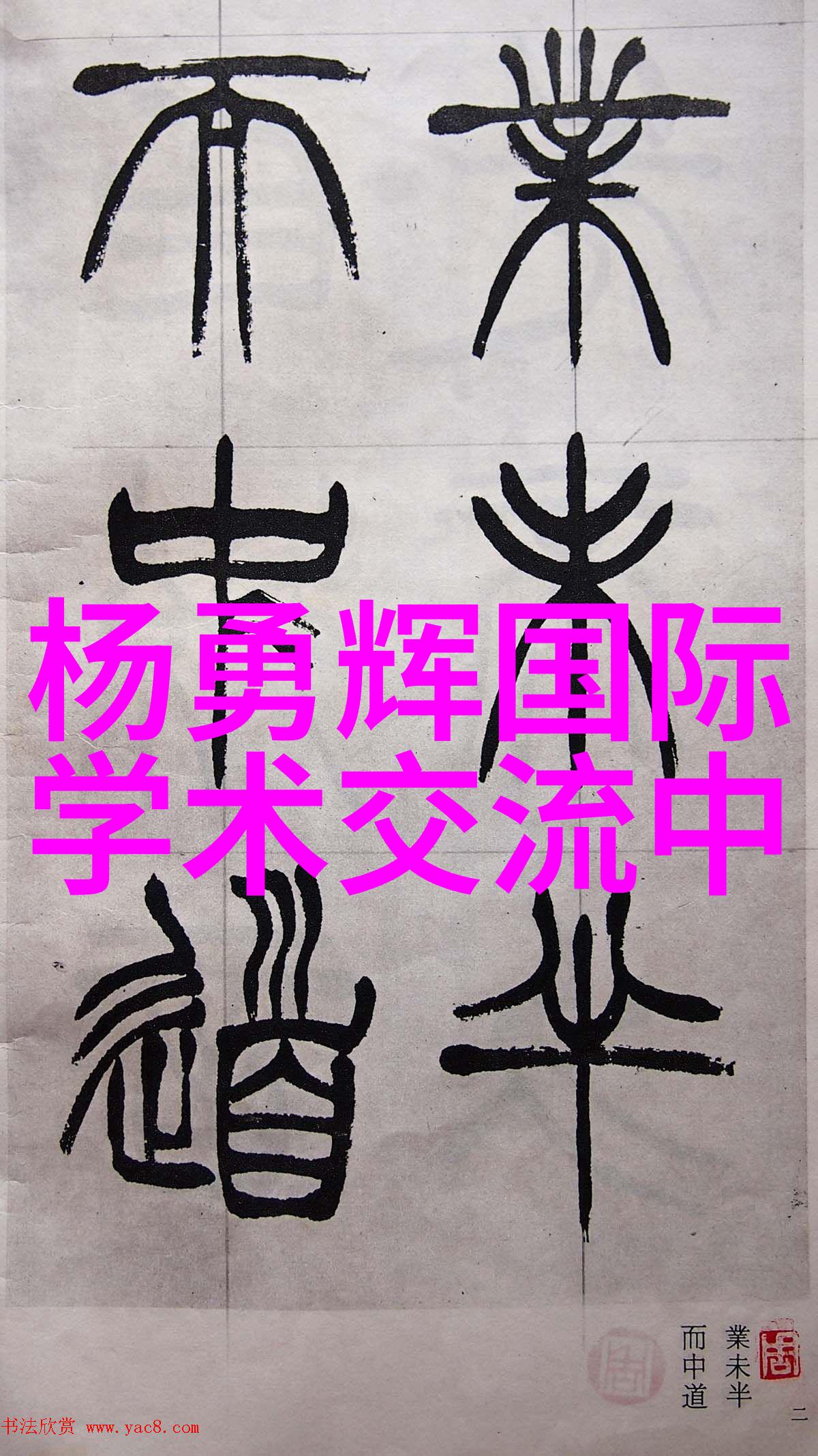 中国自主光刻机 - 硅基技术的新篇章中国自主光刻机的崛起与未来