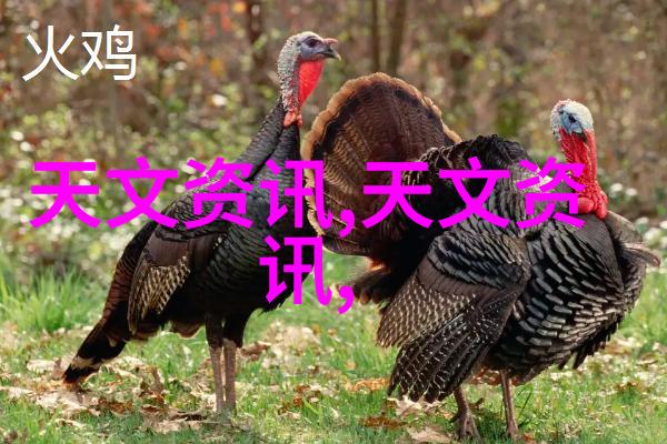LLC的优点与缺点企业选择时需谨慎