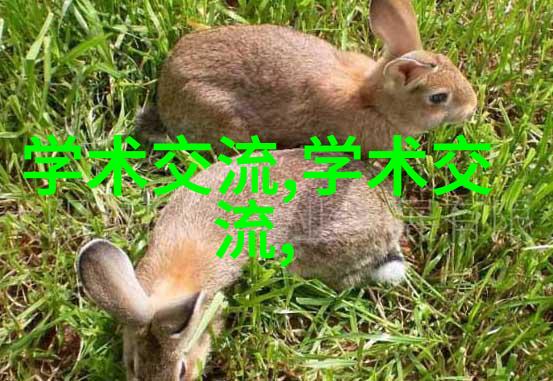 彩钢压瓦机创造现代建筑装饰的新时代工具