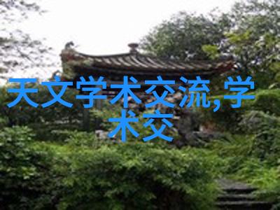 中国领先芯片企业TOP10揭秘技术创新与市场竞争的双重驱动力