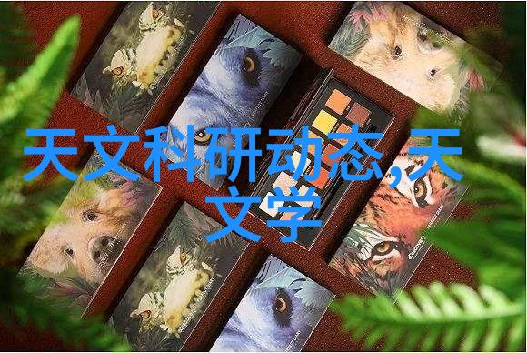 仪器有哪些探索科学实验室必备工具的世界