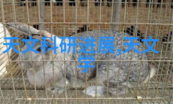 汽车发动机零部件大全车辆内燃机配件系统