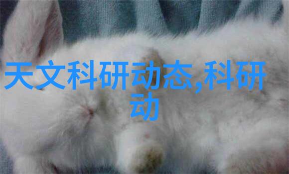 人才评估方法精选人力资源管理的关键技术