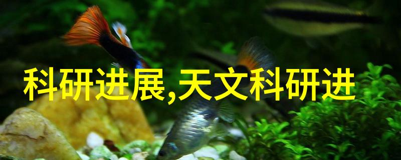 化工颗粒剂机械我的日常战友