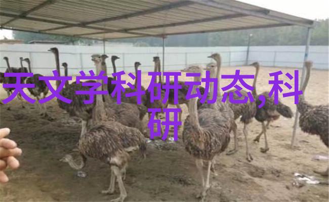 中国专利查询网专利搜索系统