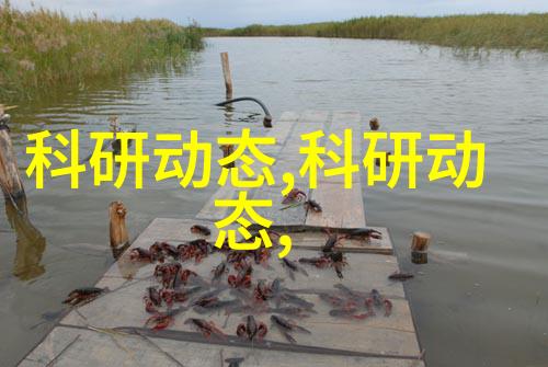 高效节能型废水处理设备环保污水净化系统