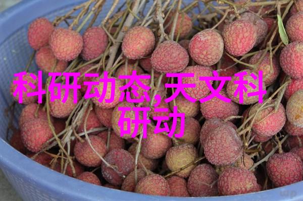 保障网网络安全防护系统