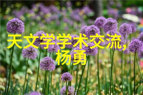 胶囊剂机械让生活更轻松便捷