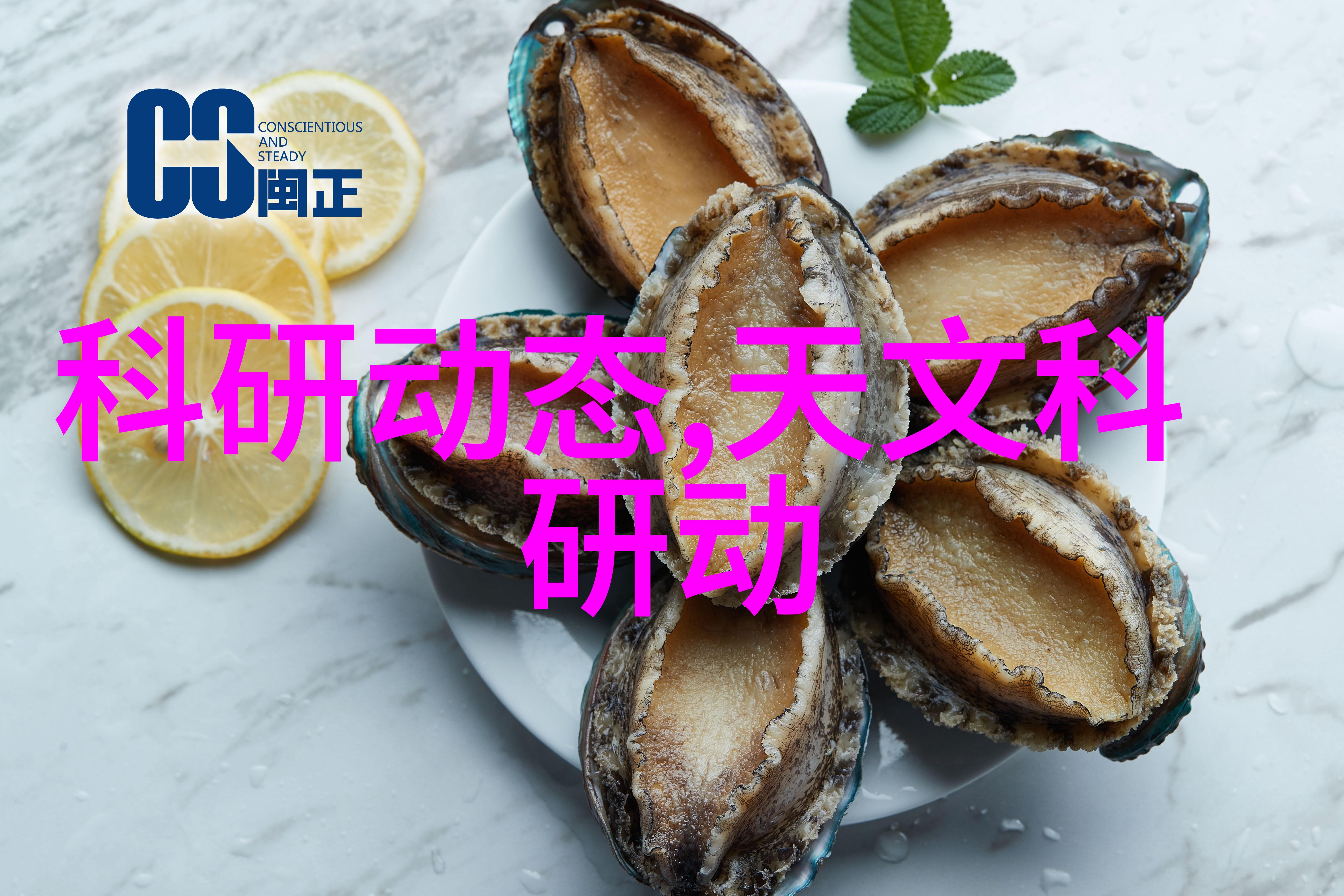 家居美学寻找理想装修师傅的智慧之旅
