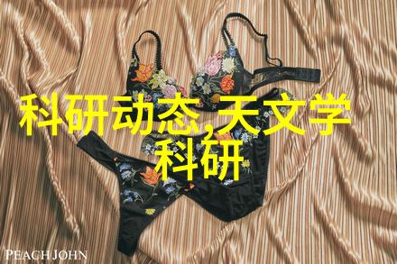 超高压杀菌魔力上海申安DSX-18L手提式灭菌器压力蒸汽终极清洁解决方案
