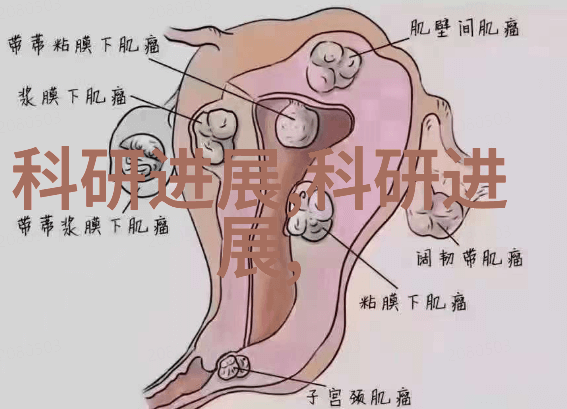 探秘国相爷神算之谜如何让一介书生成为朝中重臣