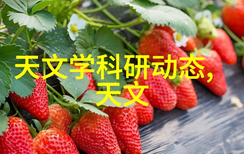 中国中车权重股的象征与挑战