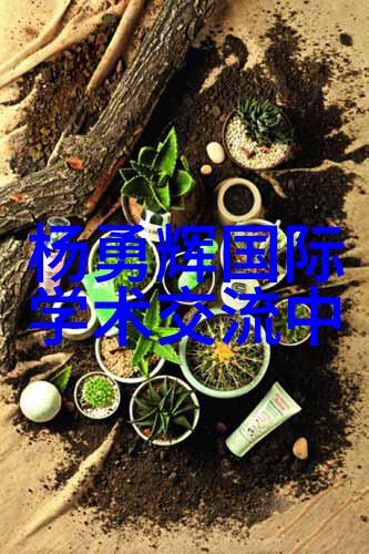 如何选择合适的专利类型进行个人申请