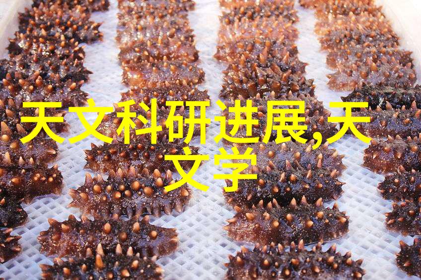 家装水电平面图-精准布局完美生活